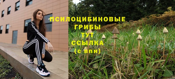 СК Аркадак