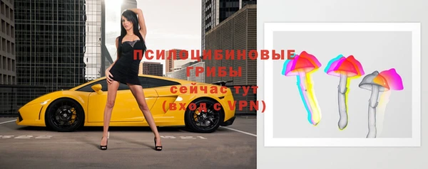 молекула духа Нея