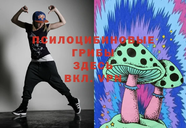 индика Армянск