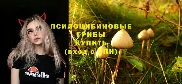 индика Армянск
