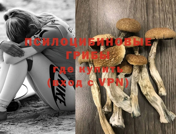индика Армянск